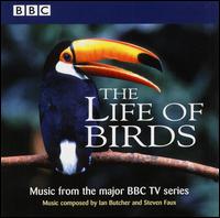 The Life of Birds