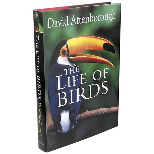 The Life of Birds