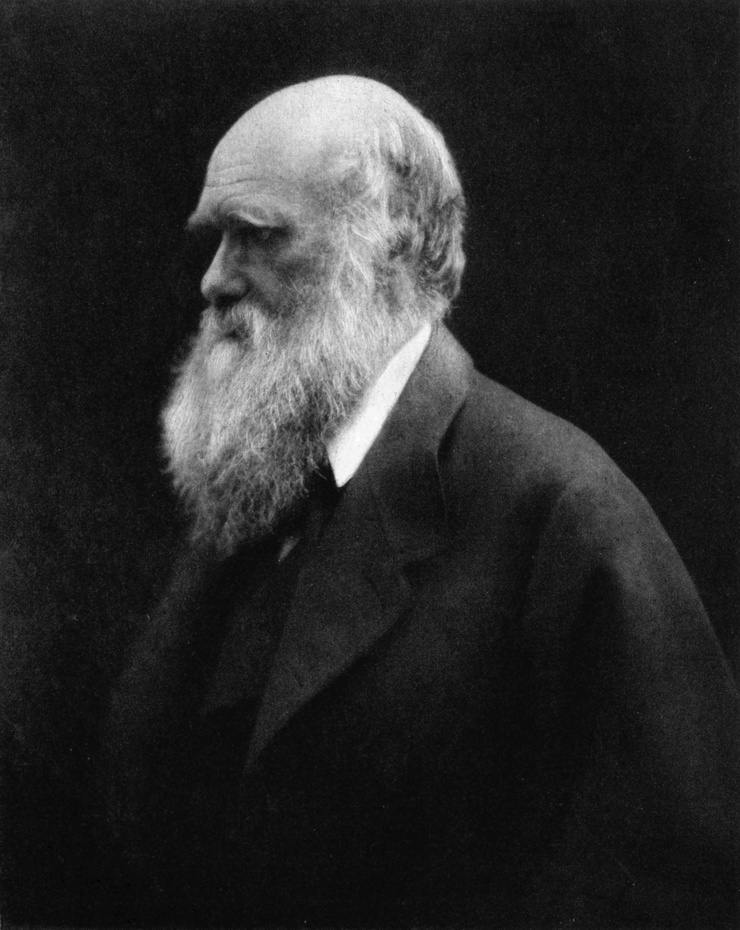 Charles Darwin picture