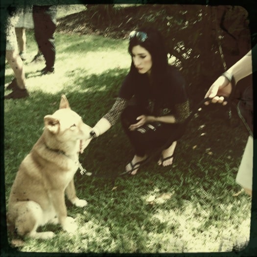 Lisa Origliasso