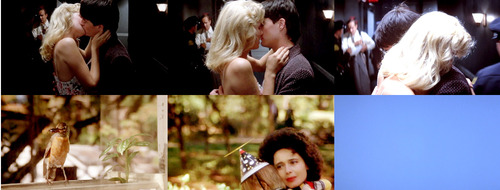 Blue Velvet