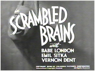 Scrambled Brains