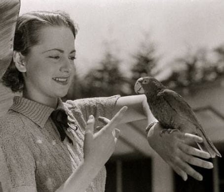 Olivia de Havilland