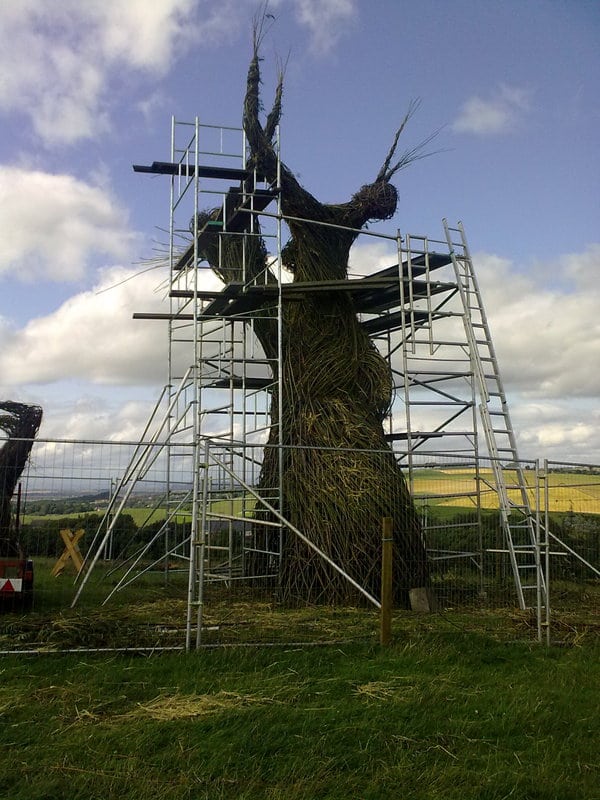 The Wicker Tree (2012)