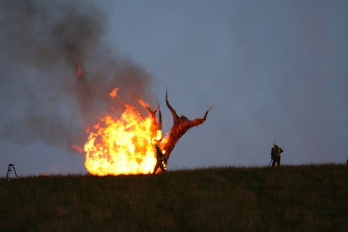 The Wicker Tree (2012)