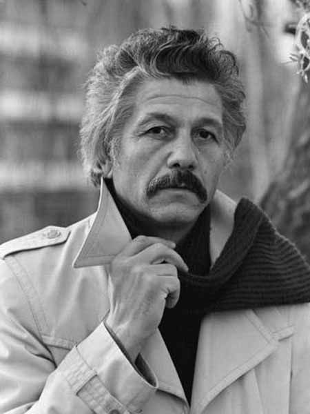 Mihai Volontir