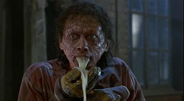 The Fly The Fly