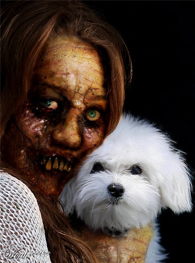 webkinz zombie puppy