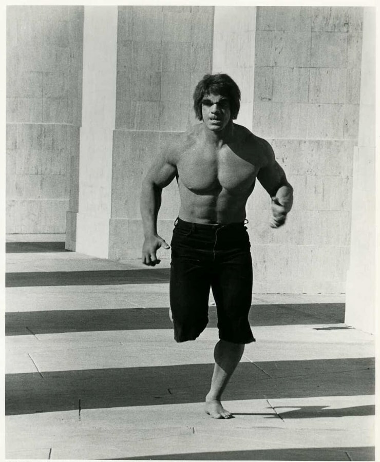 Picture Of Lou Ferrigno