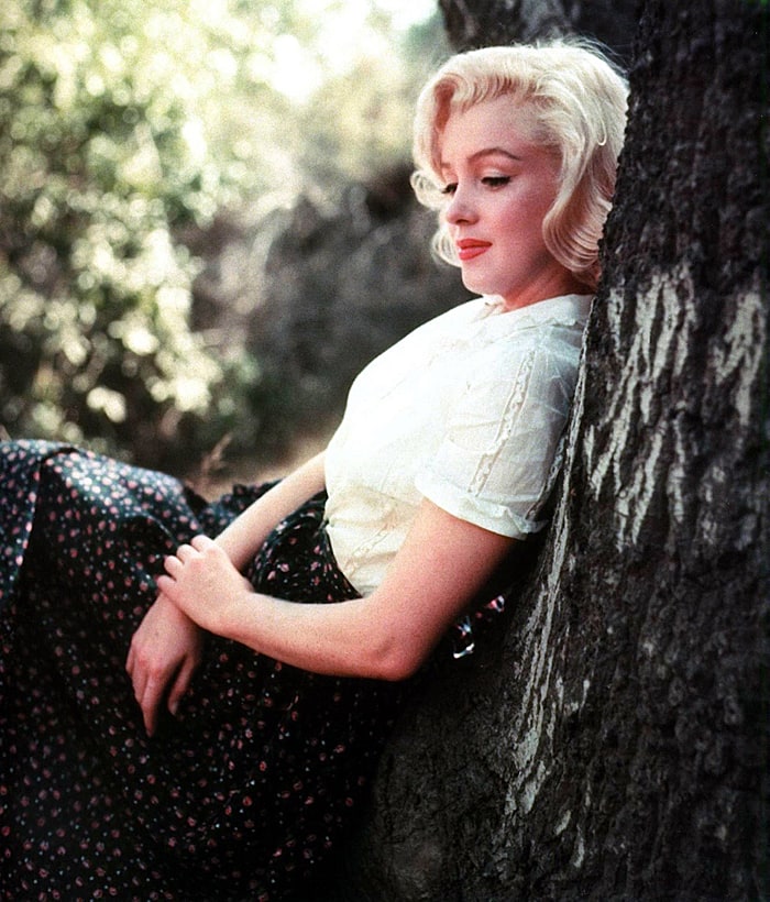 Picture of Marilyn Monroe