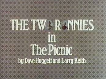 The Picnic