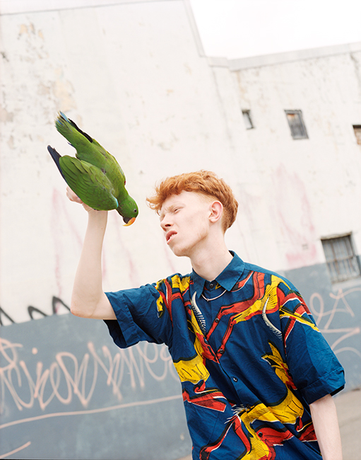 King Krule
