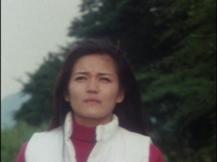 Rin (Dairanger)
