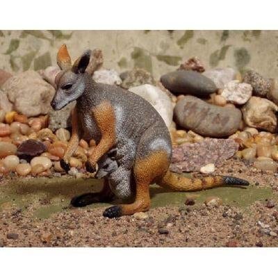 Science and Nature 75451 Rock Wallaby - Animals of Australia Realistic Toy Replica