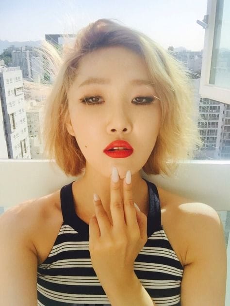 Hwasa Hwasa