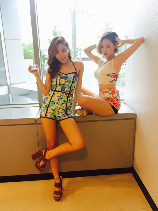 Hwasa Hwasa