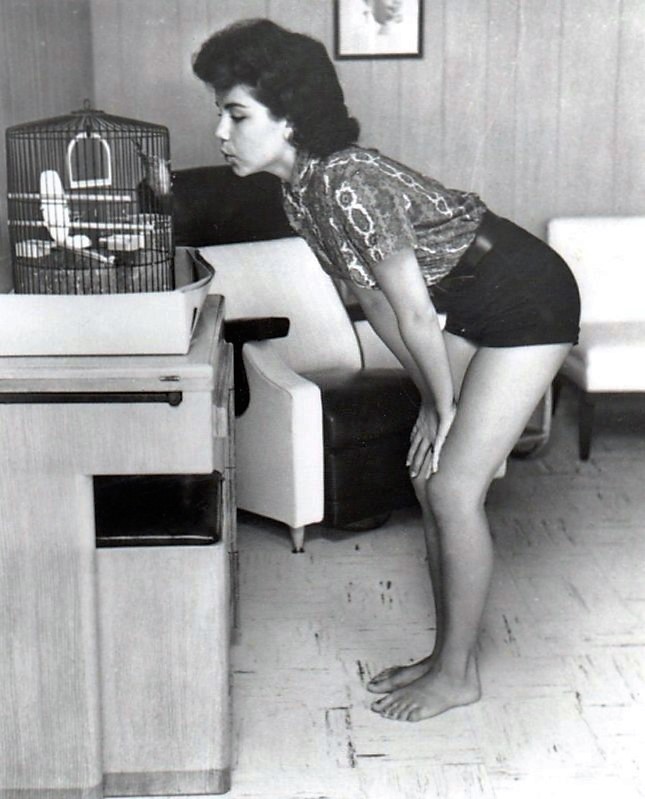 Annette Funicello Annette Funicello