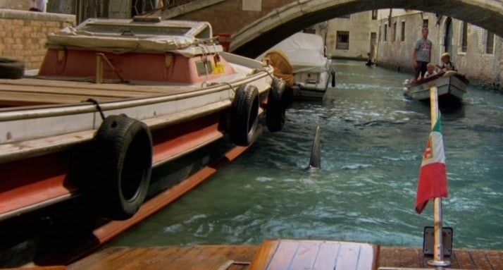 Shark in Venice                                  (2008)