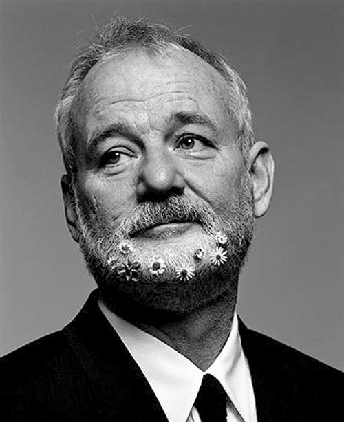 Bill Murray Bill Murray