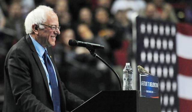 Bernie Sanders Bernie Sanders