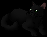 Hollyleaf