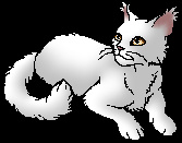 Whitestorm Whitestorm