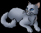 Bluestar Bluestar