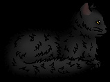 Graystripe Graystripe