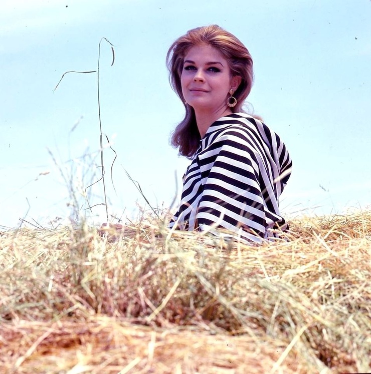 Candice Bergen