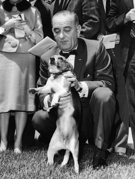 Lyndon Johnson Lyndon Johnson