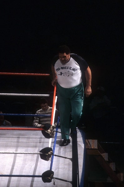 André the Giant