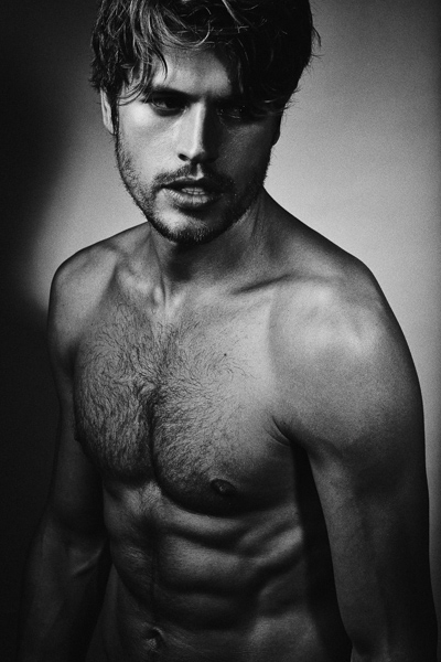 Will Brandt