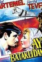 Aysel: Batakli damin kizi