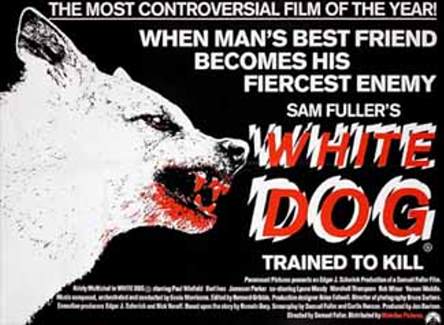 White Dog White Dog