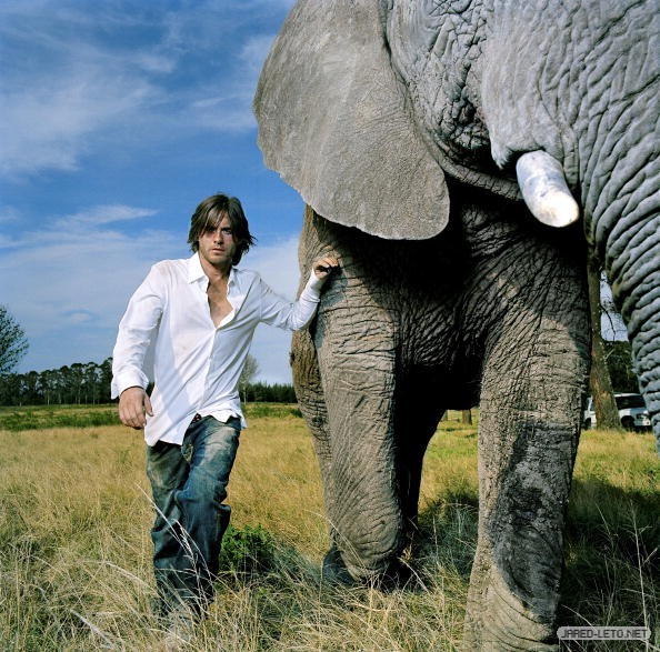 Jared Leto