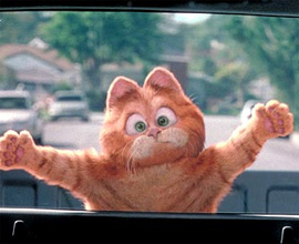 Garfield