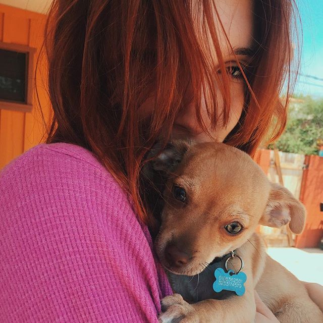 Dani Thorne