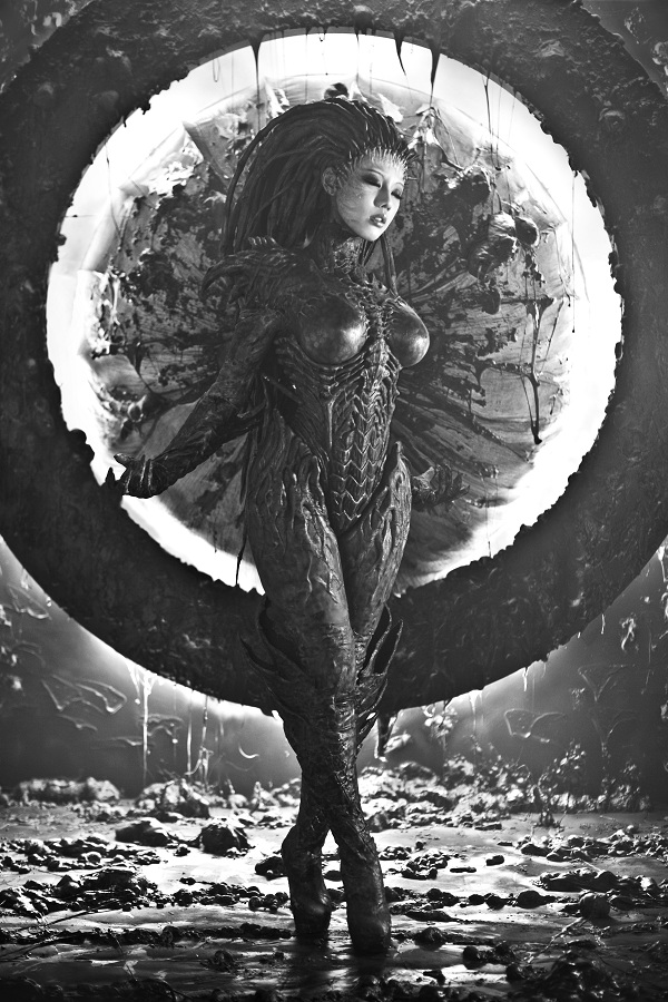 Tasha Spiral Cats