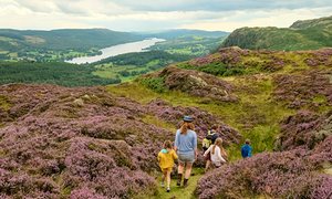 Holme Fell has great views over Coniston Water Holme Fell has great views over Coniston Water