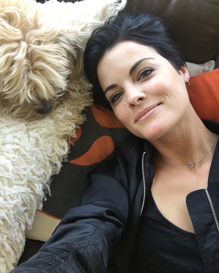 Jaimie Alexander