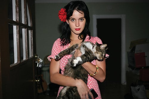 Katy Perry Katy Perry