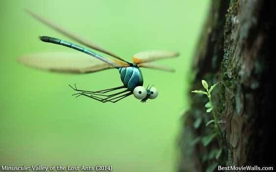 Minuscule: Valley of the Lost Ants Minuscule: Valley of the Lost Ants
