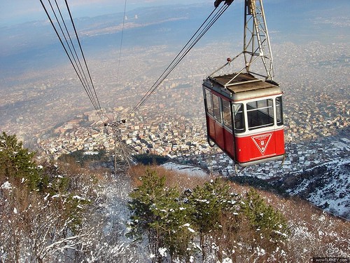 Bursa