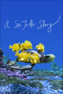 A Sea Turtle Story