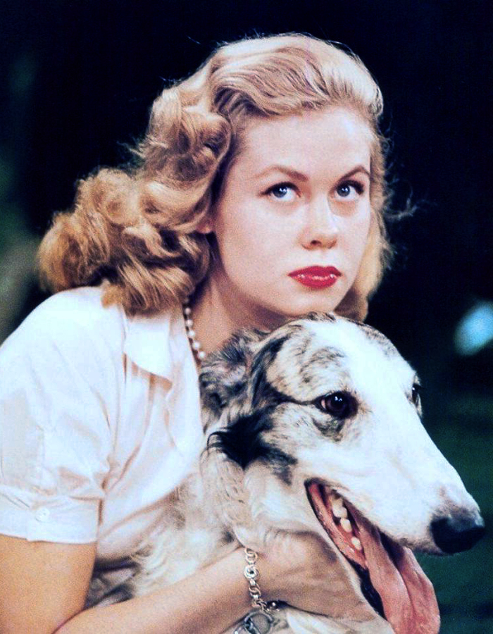 Elizabeth Montgomery Elizabeth Montgomery