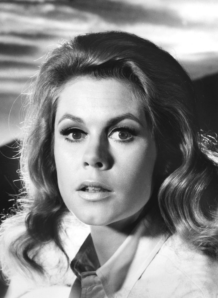 Picture of Elizabeth Montgomery