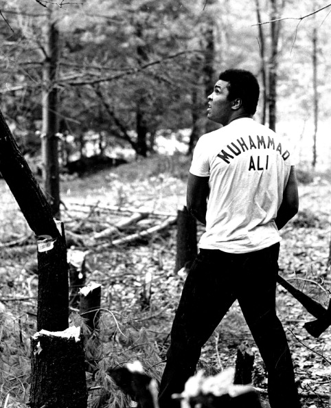 Muhammad Ali Muhammad Ali