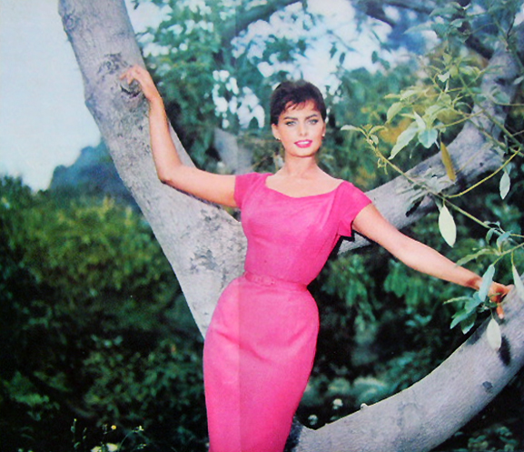 Sophia Loren Sophia Loren
