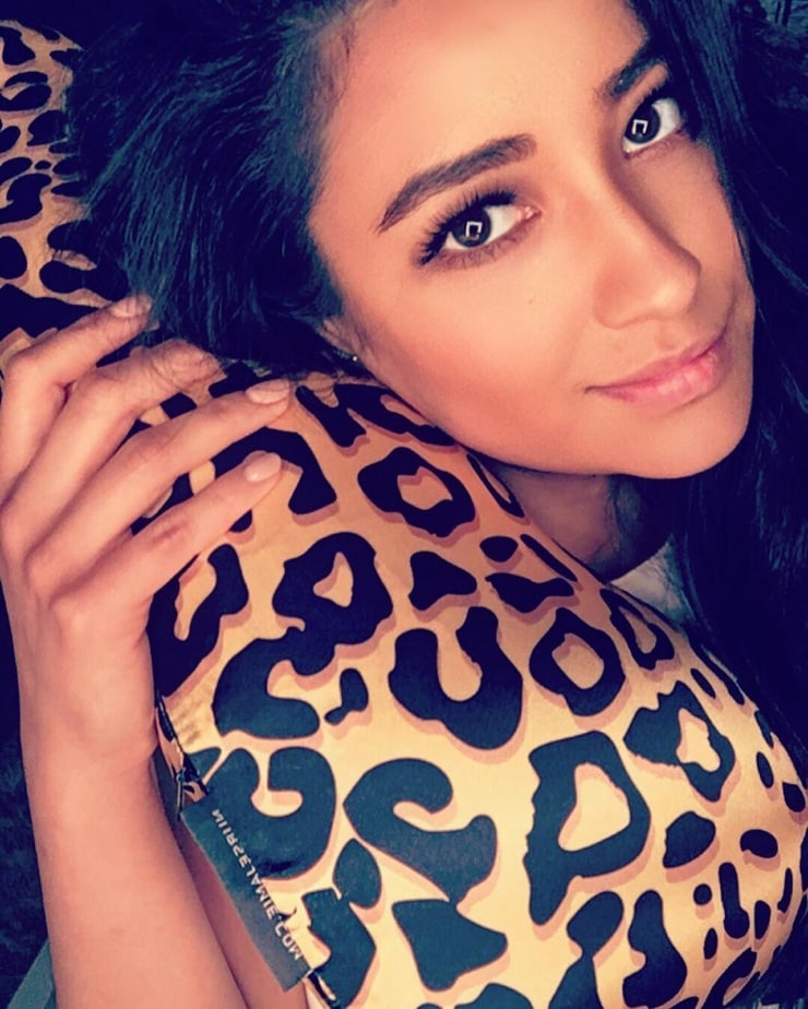 Shay Mitchell