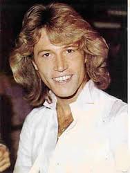 Andy Gibb